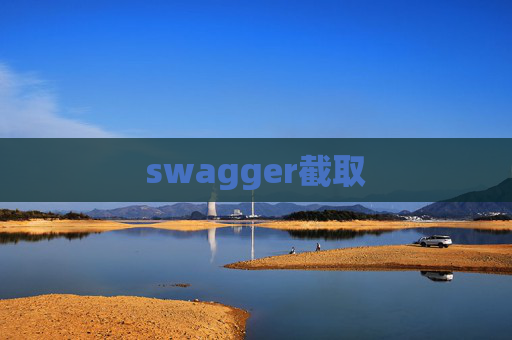 swagger截取